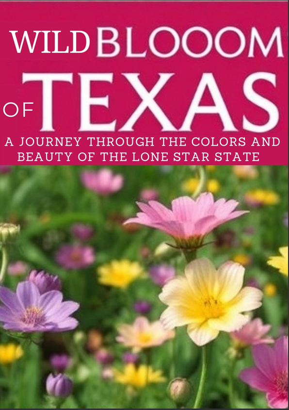 Wild Blooms of Texas A Journey Through the Colors and Beauty of the Lone Star State