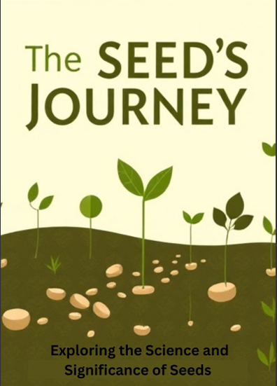 The Seed’s Journey 